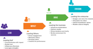 APEX Development Graphic