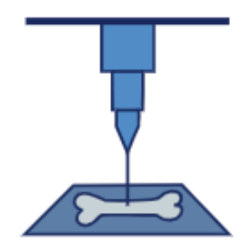 bio tech trends and innovation area - photo of brain called bioprinting