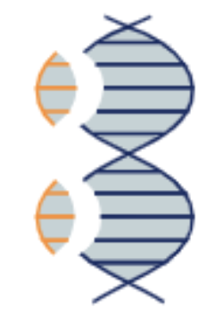 bio tech trends and innovation area - photo of brain called gene editing